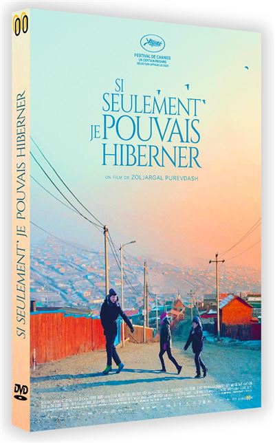 Si seulement je pouvais hiberner DVD