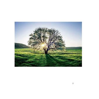 Eglantine attend le retour du printemps