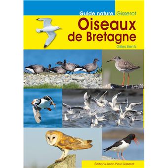 Oiseaux de Bretagne