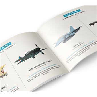 Histoire de l'Armée de l'air et de l'espace