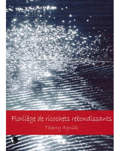Florilège de ricochets rebondissants
