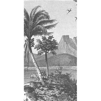 Coffret Rhum de l'Ile du crâne