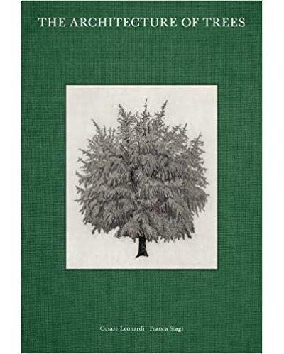 ARCHITECTURE OF TREES