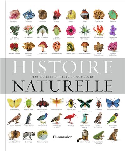 Histoire naturelle -  Collectif - relié
