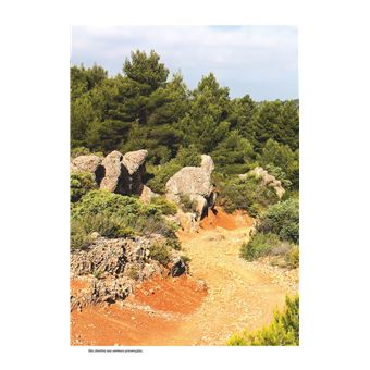 Alpilles, les plus belles randonnées
