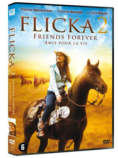 FLICKA 2-BIL