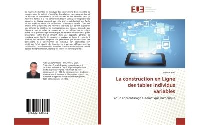 La construction en Ligne des tables individus variables