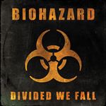 Divided We Fall - Vinilo