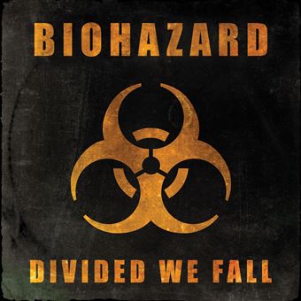 Divided We Fall - Vinilo