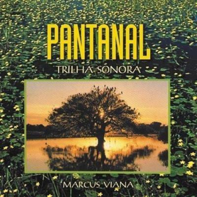 Pantanal/suite sinfonica