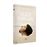 Alice, Darling DVD
