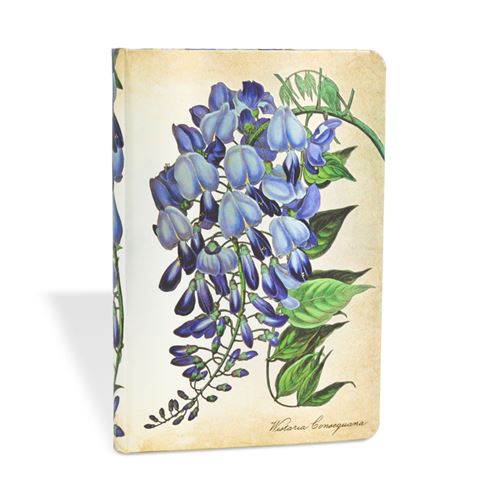 PAPERBLK CARN PLANTE GLYCINE MINI LGN