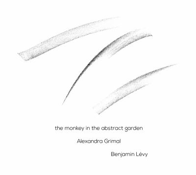 The Monkey In The Abstract Garden