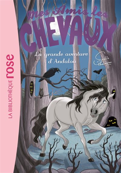 Mes amis les chevaux 21 - La grande aventure d'Andalou