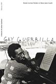 Gay Guerrilla