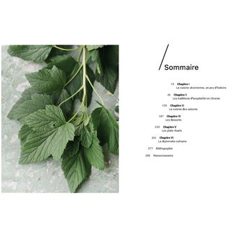 Ukraine  (Immersion dans la culture et les traditions ukrainiennes en 80 recettes d'aujourd'hui)