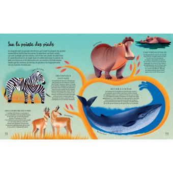 Darwin l'origine des espèces