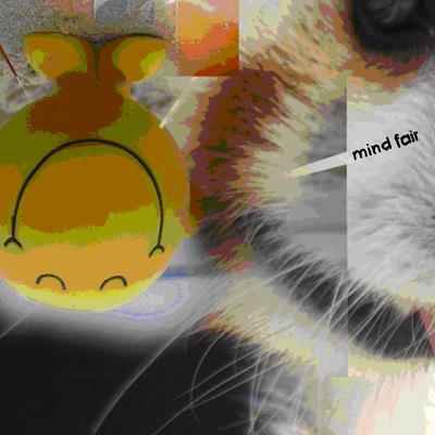 Mind fair - Inclus coupon mp3
