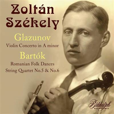 Concerto pour violon et musique de chambre