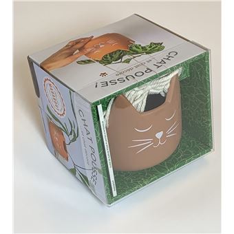 Coffret - Chat pousse et chat décor - Version terracotta