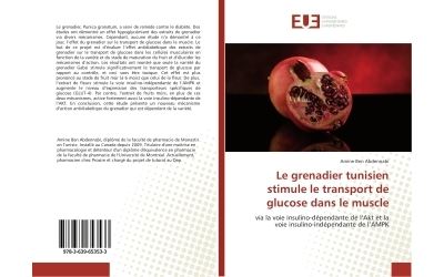 Le grenadier tunisien stimule le transport de glucose dans le muscle