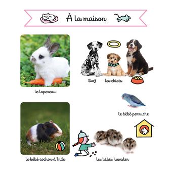Les Bébés animaux