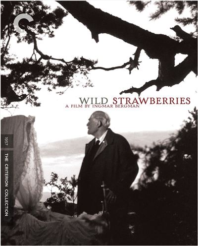 Wild Strawberries Blu-ray