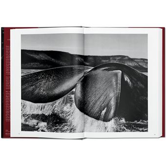 Sebastião Salgado. GENESIS
