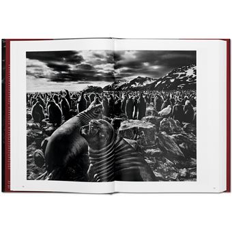 Sebastião Salgado. GENESIS