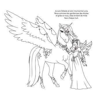 Ma pochette Licornes et fées - Cartes à pailleter et à colorier