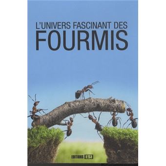 Univers Fascinant Des Fourmis L Cartonne Celine Sivault Achat Livre Fnac