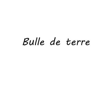 Bulle de terre