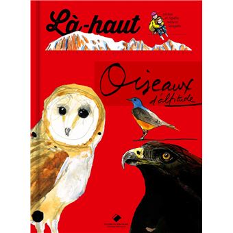 Là-haut, oiseaux d'altitude