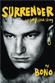 SURRENDER 40 SONGS ONE STORY