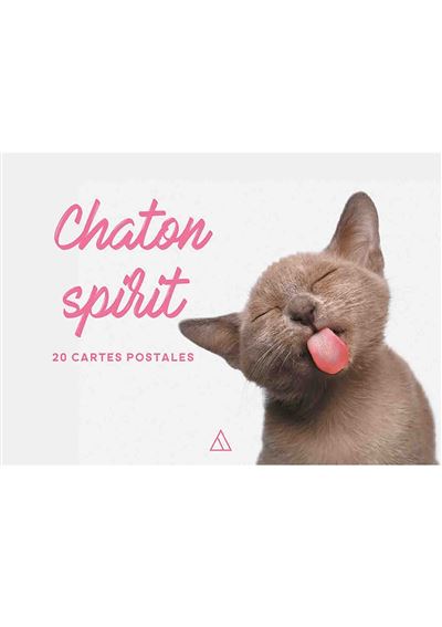 Chatons spirit cartes postales