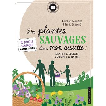 Des plantes sauvages dans mon assiette !