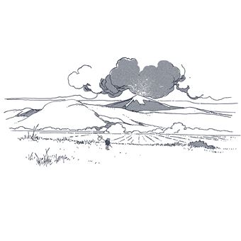 Une rainette en automne (et plus encore...) (NED 2023)