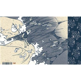 Une rainette en automne (et plus encore...) (NED 2023)