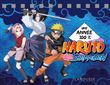Une année 100% Naruto Shippuden