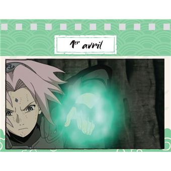 Une année 100% Naruto Shippuden