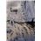Loup_0