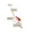 Hyver 1709Hyver 1709_1