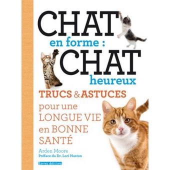 Chat En Forme Chat Heureux