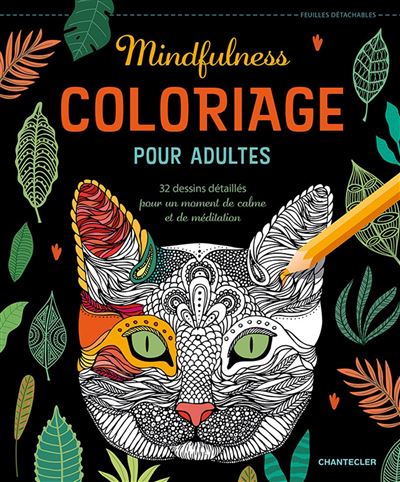 Coloriage pour adultes  mindfulness  broché  Collectif  Achat Livre