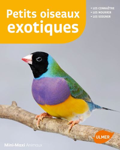 Les petits oiseaux exotiques
