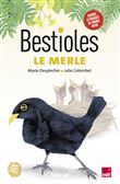Bestioles - Le Merle