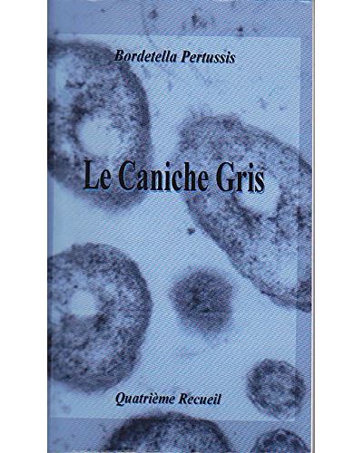 Le caniche gris