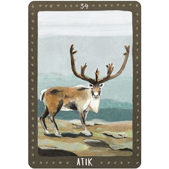 La médecine des animaux