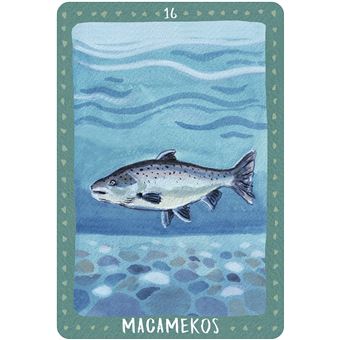 La médecine des animaux