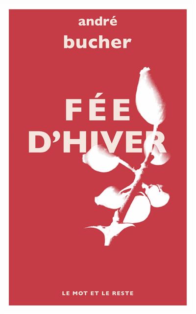 FEE D'HIVER (poche)
